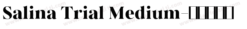 Salina Trial Medium字体转换